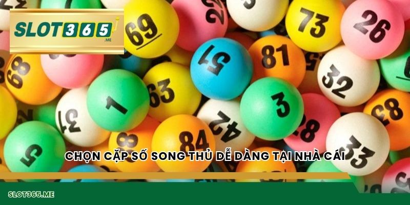 Chọn cặp số song thủ dễ dàng tại nhà cái