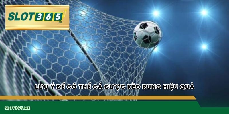 Lưu ý để có thể cá cược kèo rung hiệu quả