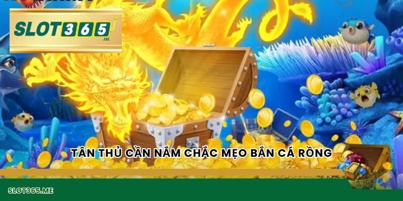 Tân thủ cần nắm chắc mẹo Bắn cá Rồng