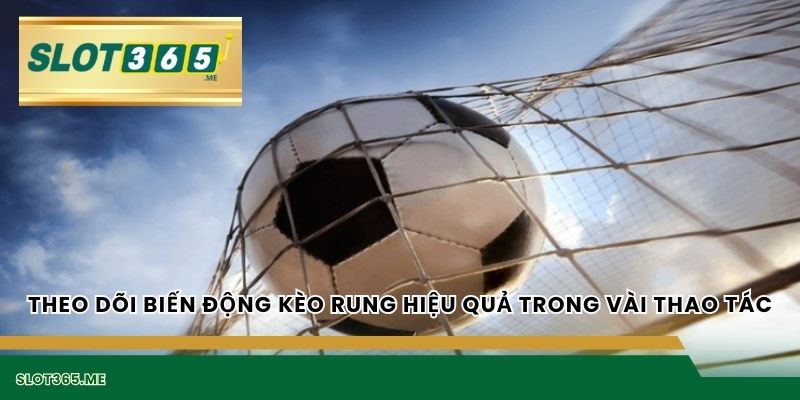 Theo dõi biến động kèo rung hiệu quả trong vài thao tác
